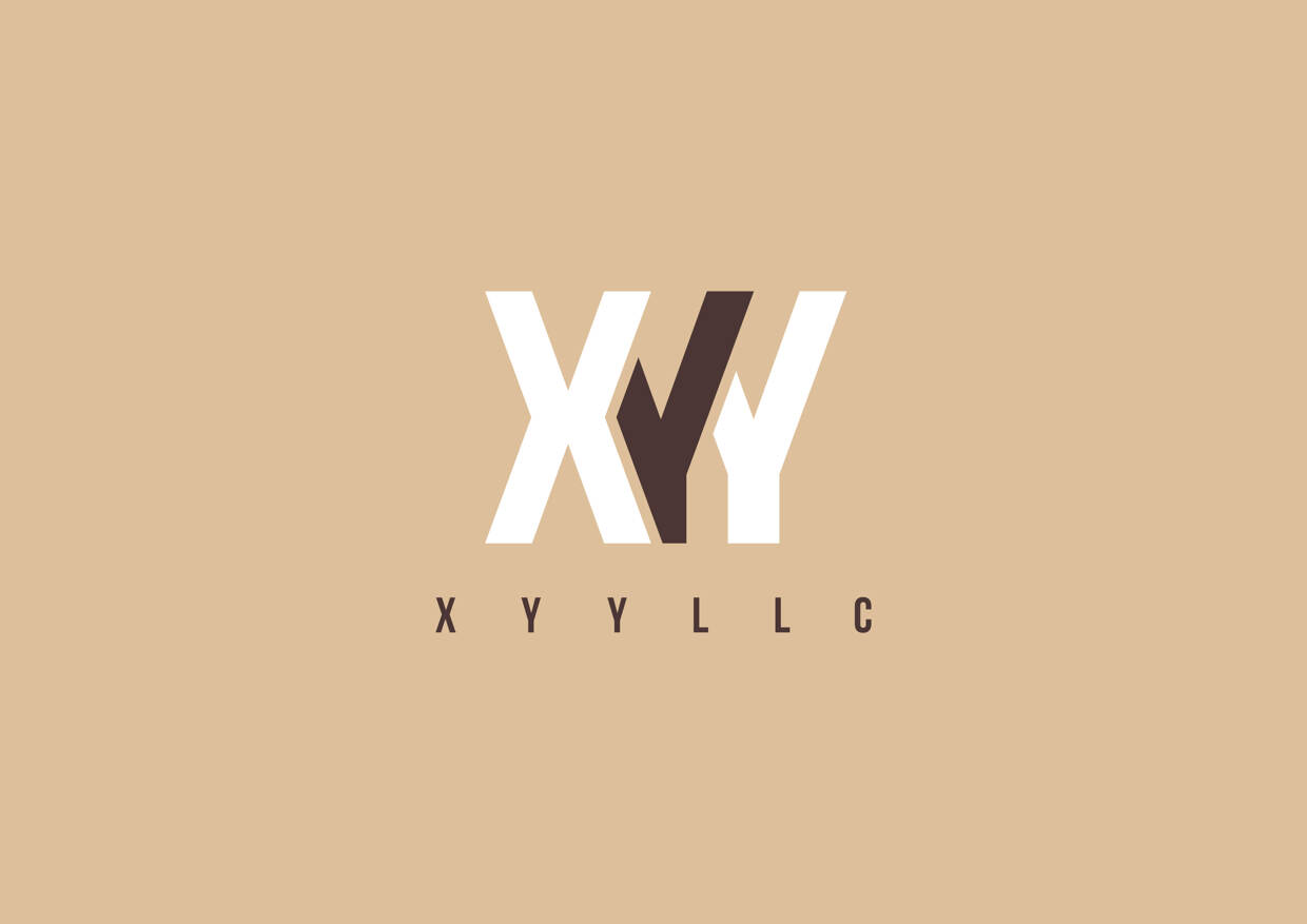 美国xyy时装公司vi设计
