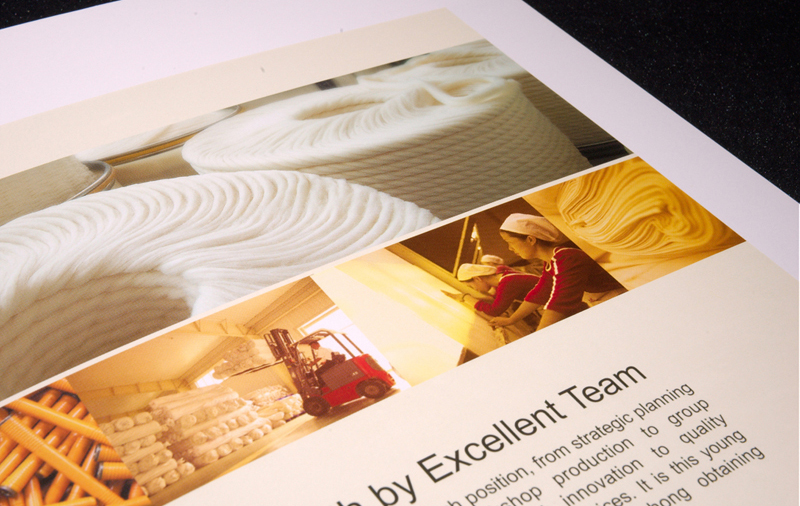 天虹纺织企业宣传册设计制作
