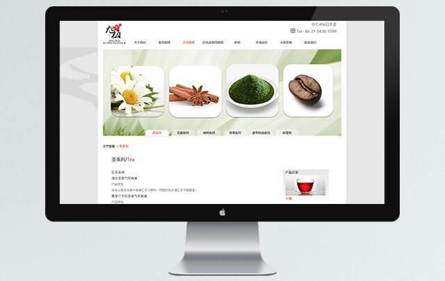 上海网站设计
